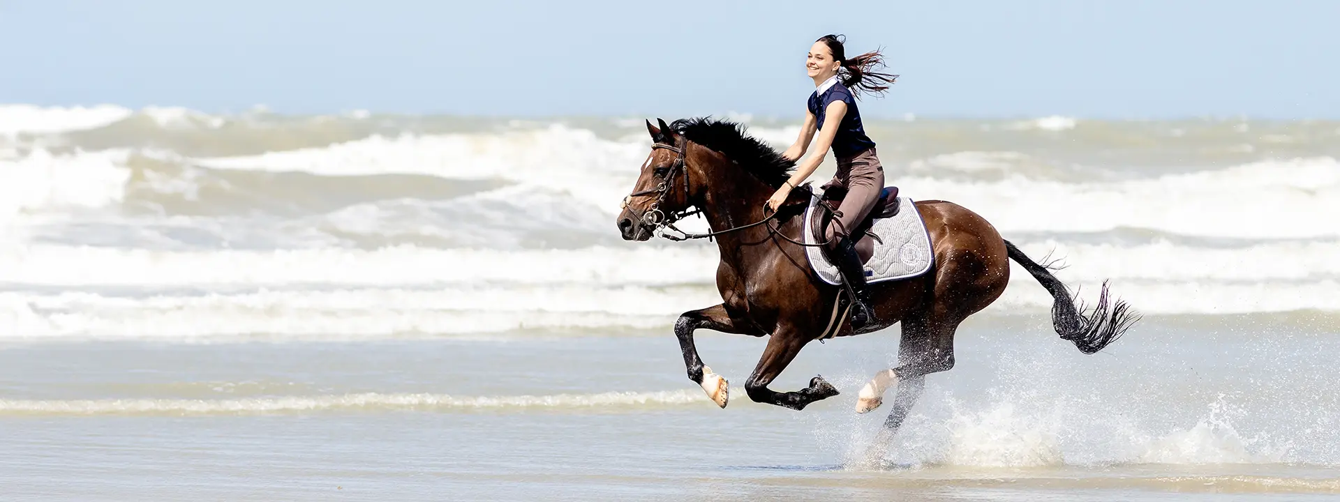 Une cavalière à cheval lancé au galop sur la plage