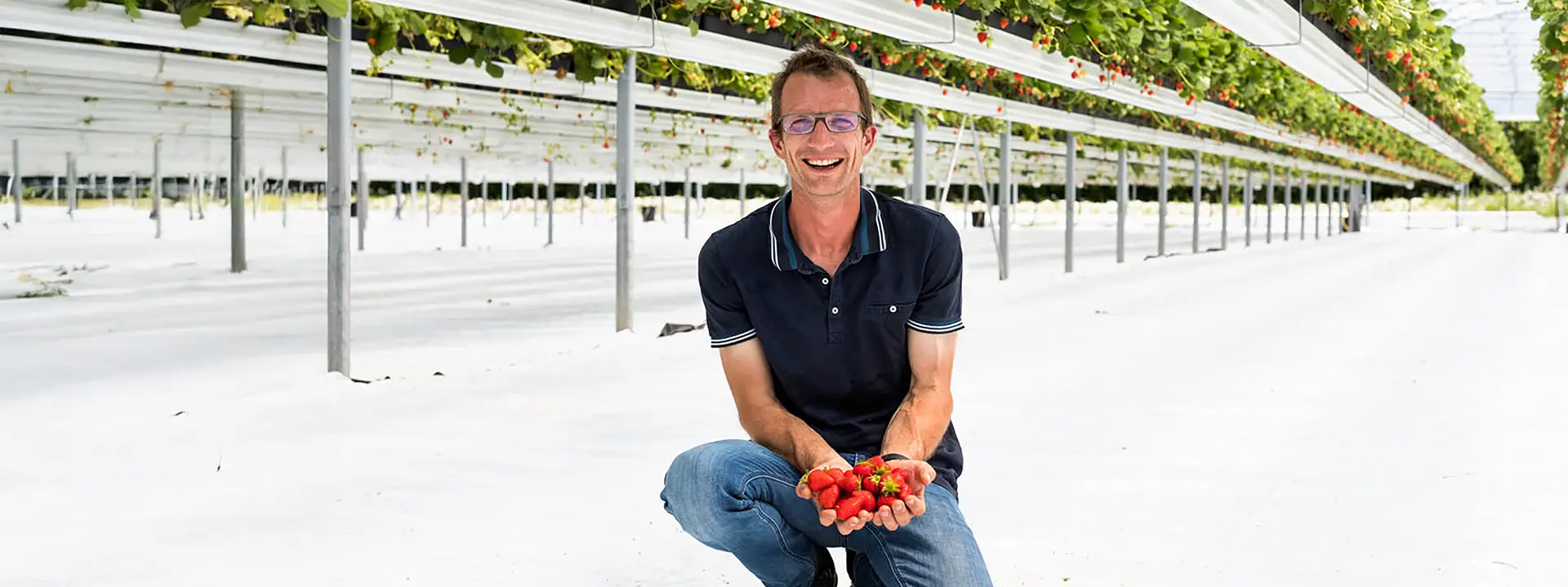 Un producteur de fraises souriant dans sa production