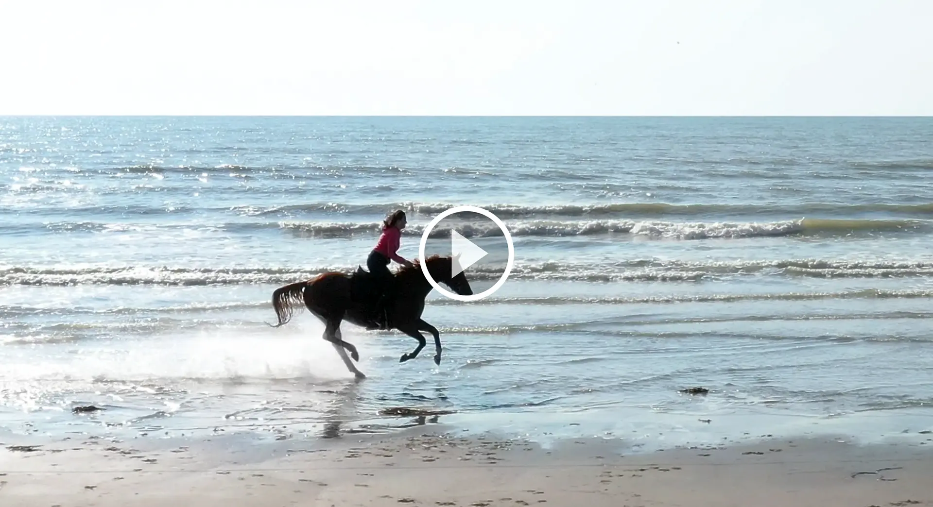 Cheval au galop sur une plage de baie de Sommme