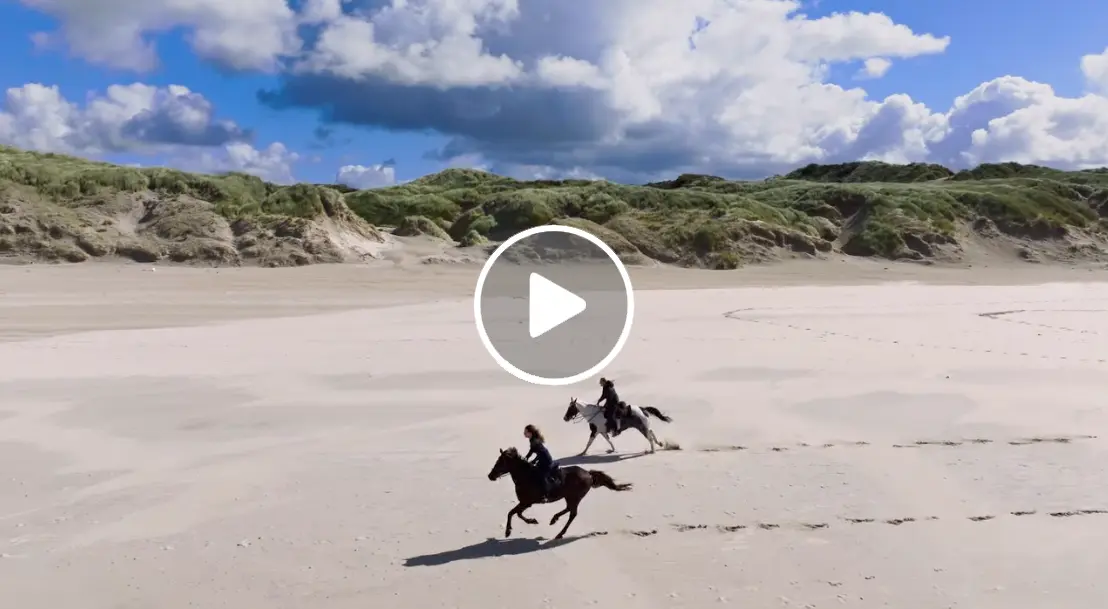 Vue aérienne par drone de chevaux au galop sur la plage