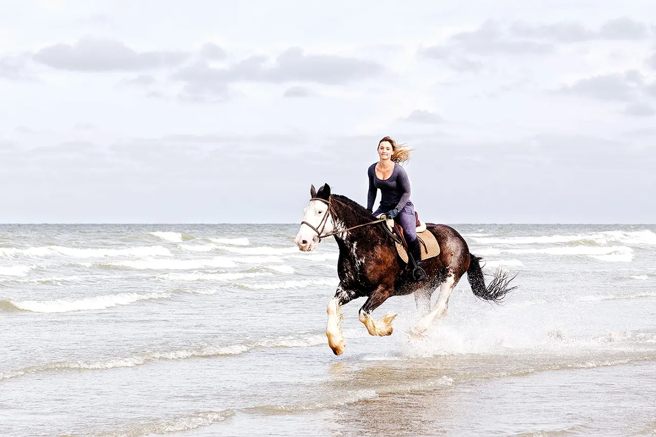 Cavalière et cheval au galop sur la plage