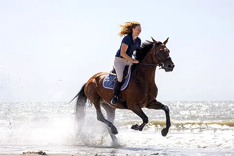 01 Cavaliere Energique Plage Galop
