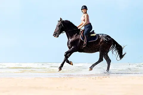 Cheval Au Galop Plage De Marck 02