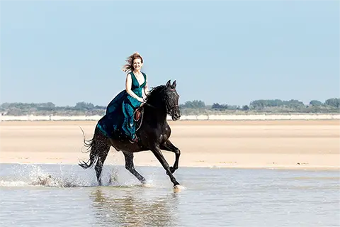 Cheval Au Galop Plage De Marck 03