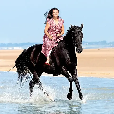 Cheval Au Galop Plage De Marck