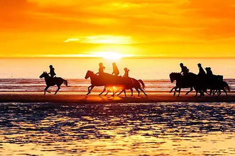 Chevauchee Coucher De Soleil Cote Opale Berck Sur Mer